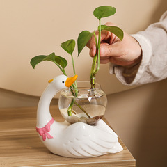 Creative pothos hydroponic flower arrangement, cute swan animal office study desk tabletop transparent glass decoration