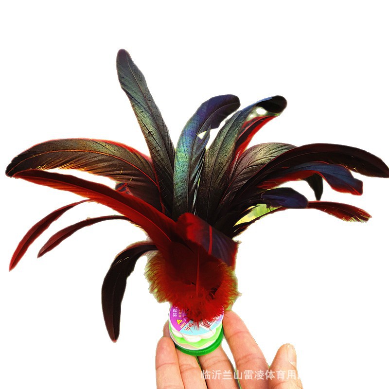 2025-05-06 11:22:37.jpg