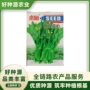 大全四季四九农家种籽