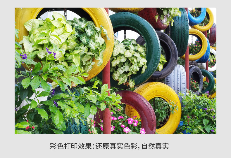 d8401f5a-c88e-4c82-b502-4e366f93b289.jpe