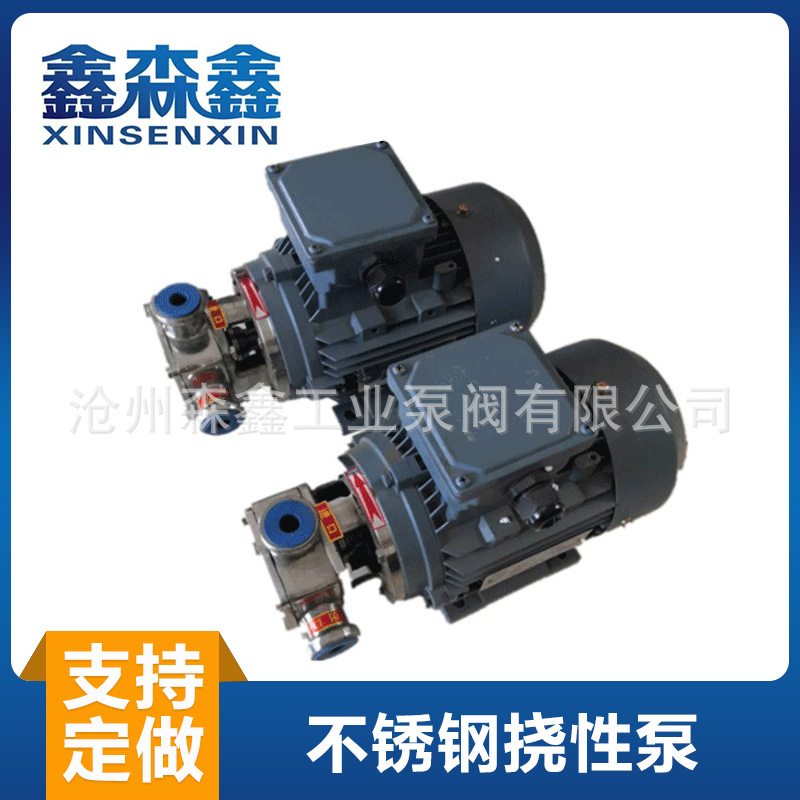 RXB-25不锈钢防爆挠性转子泵 加药面糊挠性泵齿轮泵 厂家供应