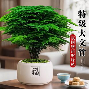 ������������ؔ��լ�����辰�k���ҾGֲ�҃ȿ͏d��ʽ�U���ļ�ֲ��