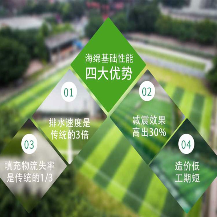 artificial grass football grass򳡲ƺʩ