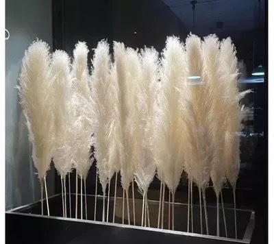 4e611d86934fadbfa63d7617fc6b02