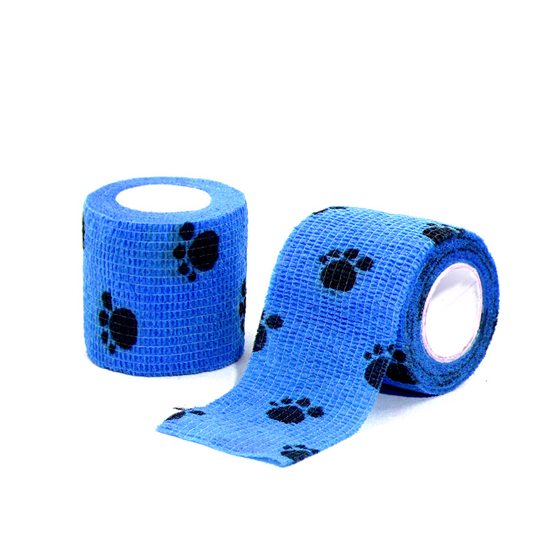 33 Garra negra sobre fondo azul