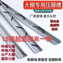 ��ꖴ��￨�ۿ��ɟ���\�{�׿��ۉ�Ĥ�۷��L�͸��g�Ӻ����P�X��