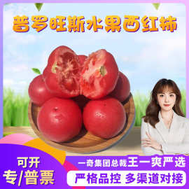 【严选】陕西普罗旺斯水果西红柿 代发4.5斤新鲜沙瓤番茄当季水果