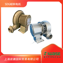 SDGѺ늙CֱͨʽLCSB-201HT