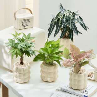 ���ͱ��Wֲ��Ҿ�����[���W�t�҃ȾGֲ�������º��B�����՚�