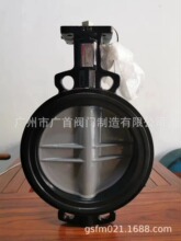 ����Τ��V8BFW16-300/NOM-P5B-E�Լ�ʽ�綯�����͵���DN300ģ����