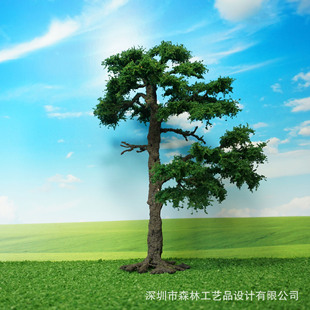 ��������F�z�� �b��侰�� �Gֲ�[���쾰�� ���-11