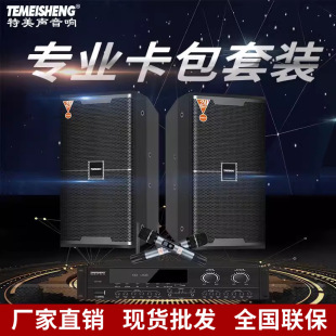 Temeisheng professional entertainment stage audio amplifier suit conference wedding performance karaoke family KTV Bluetooth speaker