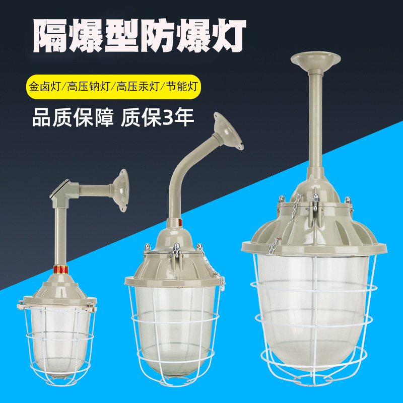 BCd200隔爆型防爆灯 BCd250防爆金卤灯节能灯防爆吊灯弯灯护栏灯