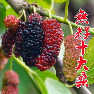 ̩����ɣ���Nˮ�����ϱ����ļ����ԷNֲ̨���L��ɣ��ɣ驮���Y��