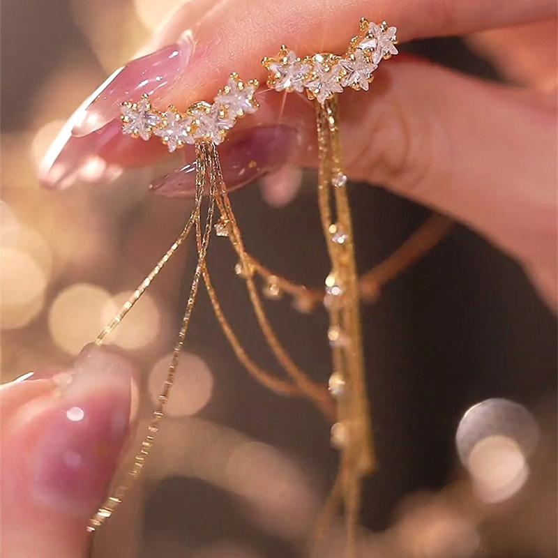 Pendientes de borla de circonio con garra de sentido avanzado de plata 925 Pendientes largos de temperamento de nicho de lujo ligero femenino Pendientes delgados de cara redonda