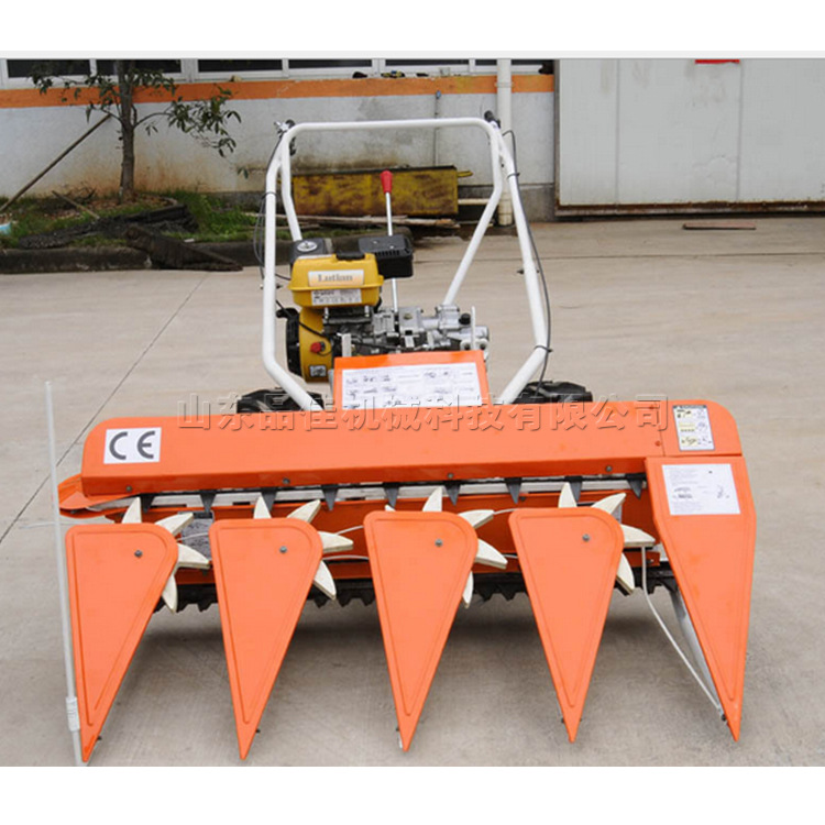 手推式玉米花生割晒机 农用玉米秸秆割捆机 移动式水稻谷子收割机