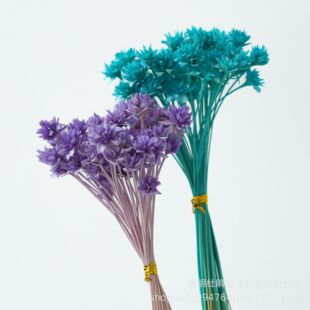 �M�ڰ�������Сɽ��DIY��޹����ƿ�ֹ��廨���������Ϲ��Sֱ�N