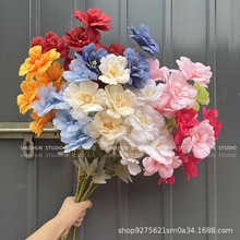 c滨6^ľȻY·廨bٻֹ6^ľ޻