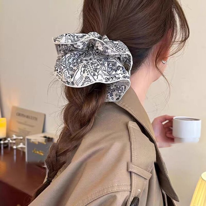 韩系个性腰果花印花大肠发圈女2025新款扎发橡皮筋高级感发绳发饰|undefined