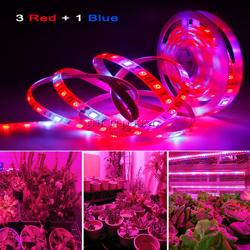 5m-Phyto-LED-Grow-Light-12V-Fu