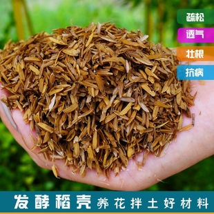 �i�S�ɰl��ţ�SÓˮ�S�㵾���I�B͸������������ǠI�B���ω�����