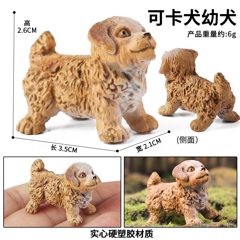 PL127-1402可卡犬幼犬