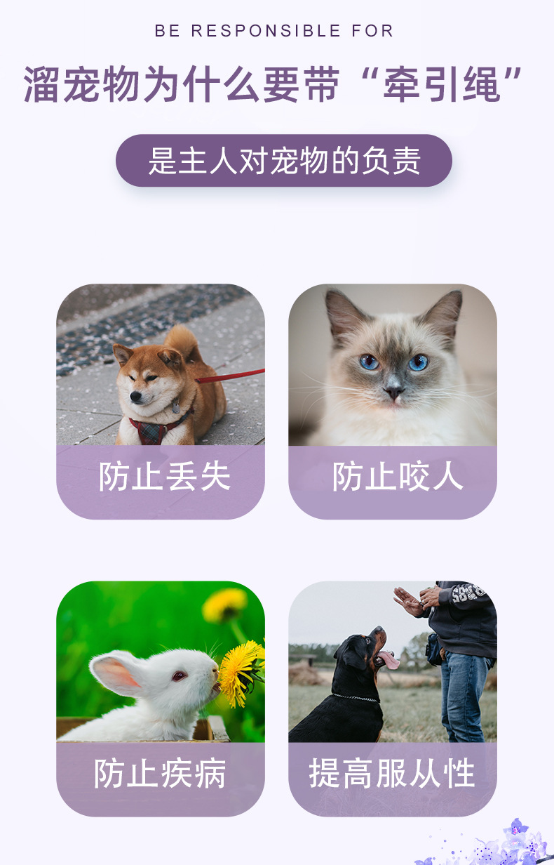 3米黑色织带格子牵狗器科派详情页_04