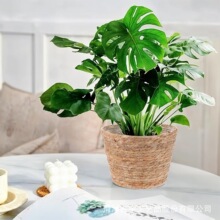 �羳ˮ���J�ݾ��ռ{�@��Ҏ����Gֲ���������Ҵ�߅�K�»@�ռ{��