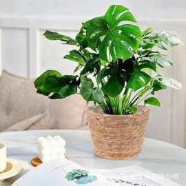 跨境水葫芦草编收纳篮多规格花盆绿植盆栽套卧室床边脏衣篮收纳筐