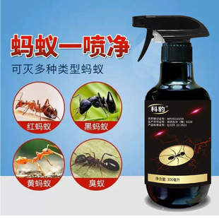 Λρ�� ��ρ�D��ԭ��ρ���Λρ�D�����Ú�Λρ��Λρ���x��
