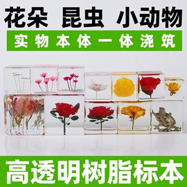 树脂工艺品;标本;钥匙扣及钥匙扣配件