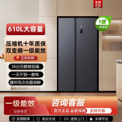 小米米家冰箱610升双开对开门风冷无霜一级智能变频节能大容量