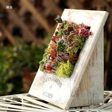 美式多肉植物相框创多肉植物组合盆栽创意桌面花器做旧多肉花盆