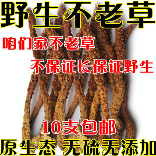 �L��ɽҰ�����ϲݲ�ɐ���Ю�10֧���]�|���خa��؛��