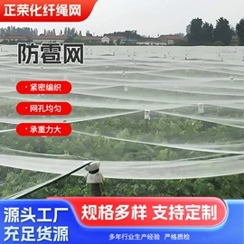 盖土网;跑道草坪;安全平网