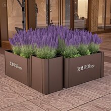 ���ⲻ�P䓻���M���Fˇ��\���̘I�֘����ۘǲ�������������