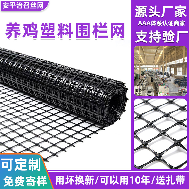 Black Plastic Geogrid Polypropylene Farming Fence Fish Pond Orchard Vegetable Garden Protective Net Plastic Flat Net Manufacturer