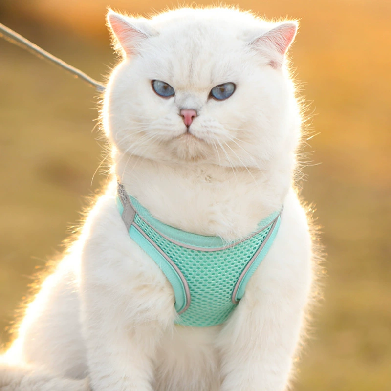 Dog leash vest type small dog harness Teddy puppy puppy walking rope dog chain outing supplies