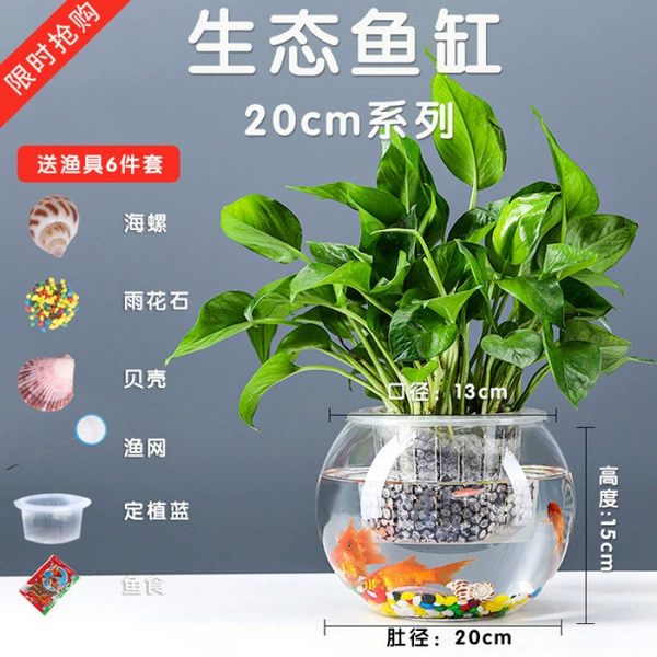 20 Six -piece set of color stones in the ball cylinder+planting basket