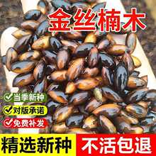 ��z�ľ�N��С�~�E骽�z�ľ����~��骶�������ľ�N�Ѯ����²�