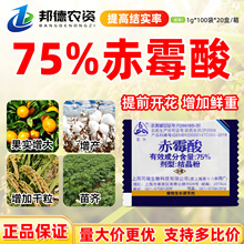 �Ϻ�ͬ��920��ù��75%�ᾧ��ֲ���������ڼ���ѿ���ֳ�ù��������