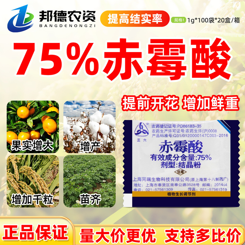 Shanghai Tongrui 920 Erythromycin 75% Crystal Powder Plant Growth Regulator Germination Soaked Erythromycin Sansix Factory Shanghai Tongrui 920 Erythromycin 75% Crystal Powder Plant Growth Regulator Germination Soaked Erythromycin Sansix Factory
