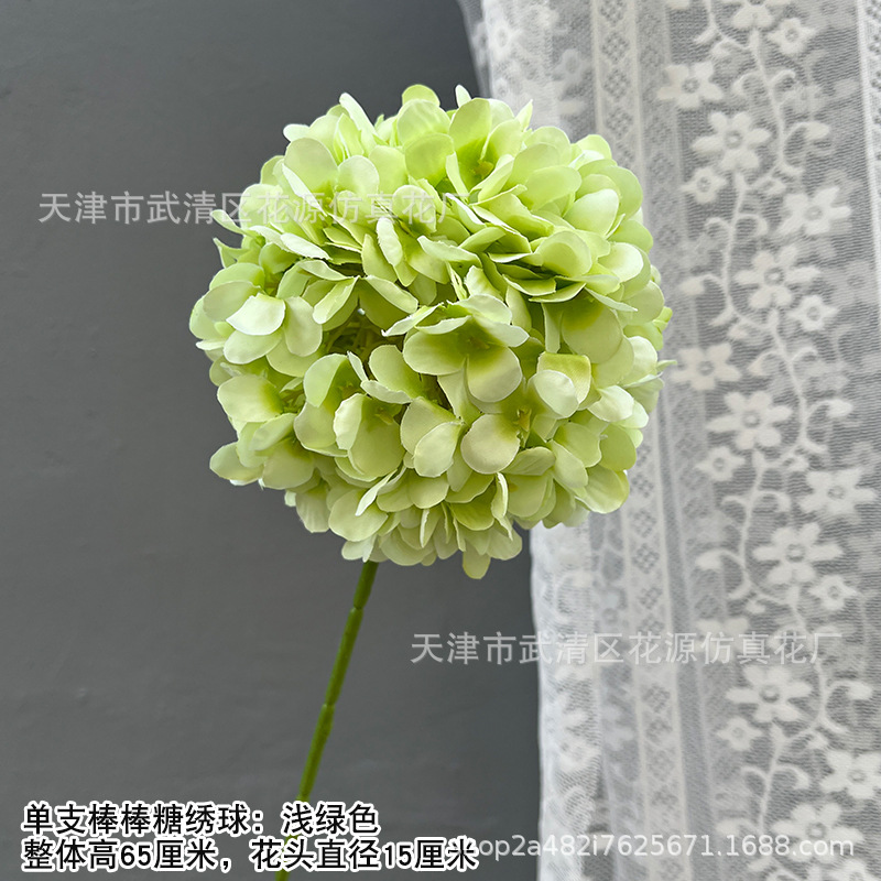 단일 롤리팝 수국 - 연한 녹색