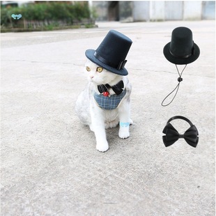 2Pcs Pet Topper Set Cat Dog Topper Hat with Bow Tie Set for