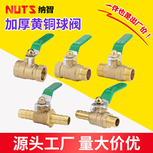 �~���y�S�~ˮ�y�_�P2��3��4��6��8��1��/DN20253240���������ݼy