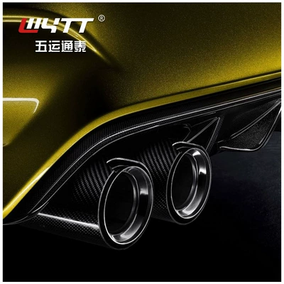Exhaust pipe: modified double outlet car tail throat