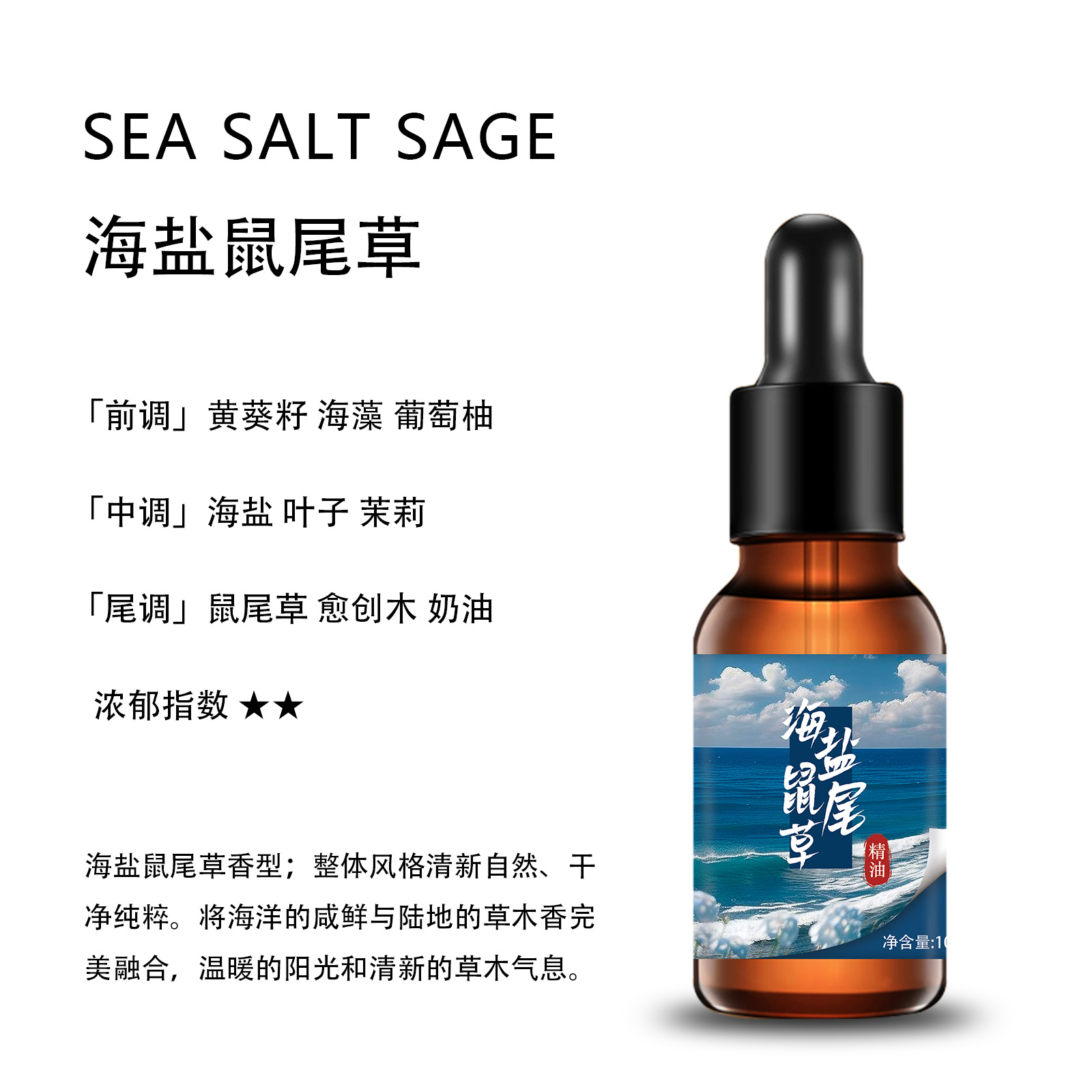 바다 소금 세이지