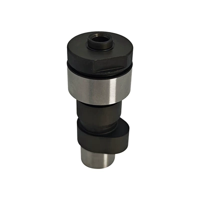 Motorcycle engine and accessories suitable for ODES