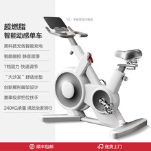 磁控动感单车家用骑行运动智能APP健身自行车有氧健腹智能骑行