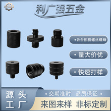 ̨Cݽz   ǼDQ̶ݽz ͶӰx֧ĸǘ˶